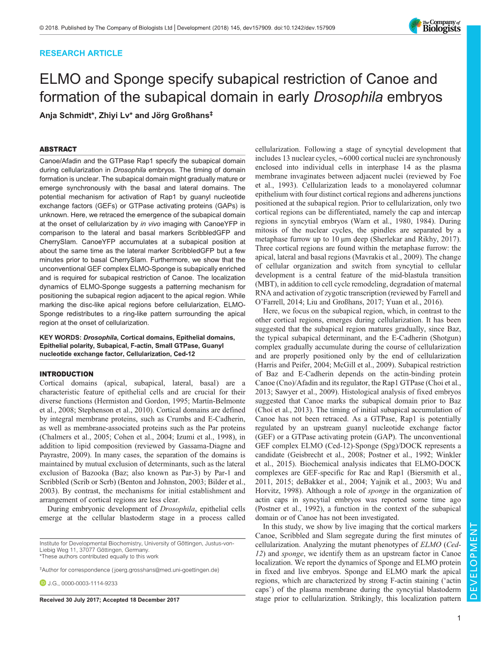 ELMO and Sponge Specify Subapical Restriction of Canoe and Formation of the Subapical Domain in Early Drosophila Embryos Anja Schmidt*, Zhiyi Lv* and Jörg Großhans‡