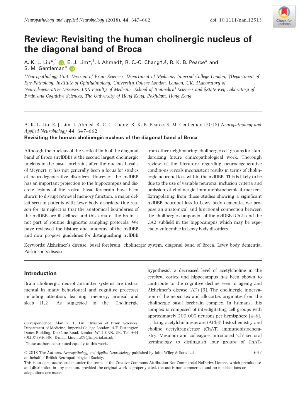 Revisiting the Human Cholinergic Nucleus of the Diagonal Band of Broca