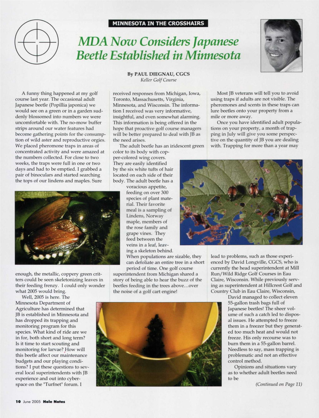 MDA Now Considers Japanese Beetle Established in Minnesota