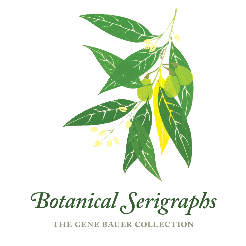 Botanical Serigraphs the Gene Bauer Collection