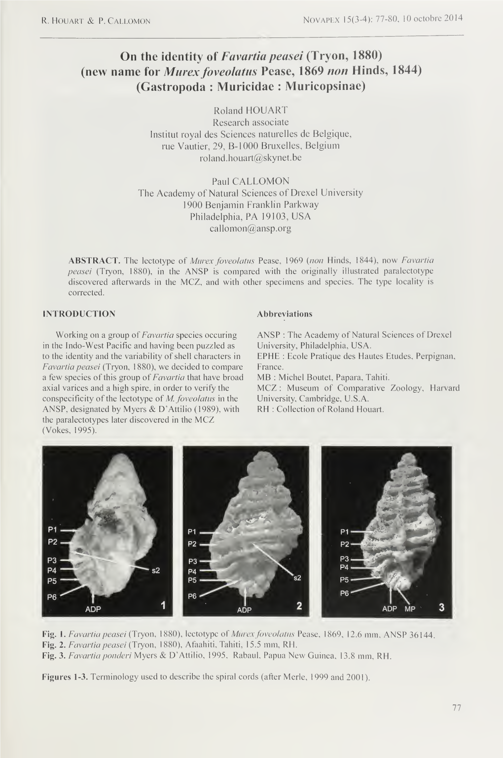 On the Identity of Favartiapeasei (Tryon, 1880)