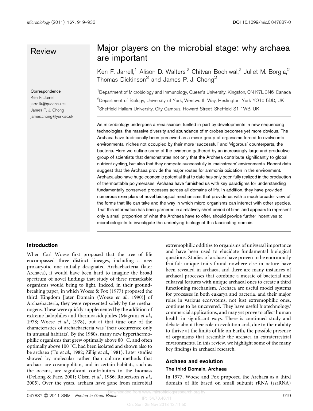 Major Players on the Microbial Stage: Why Archaea Are Important