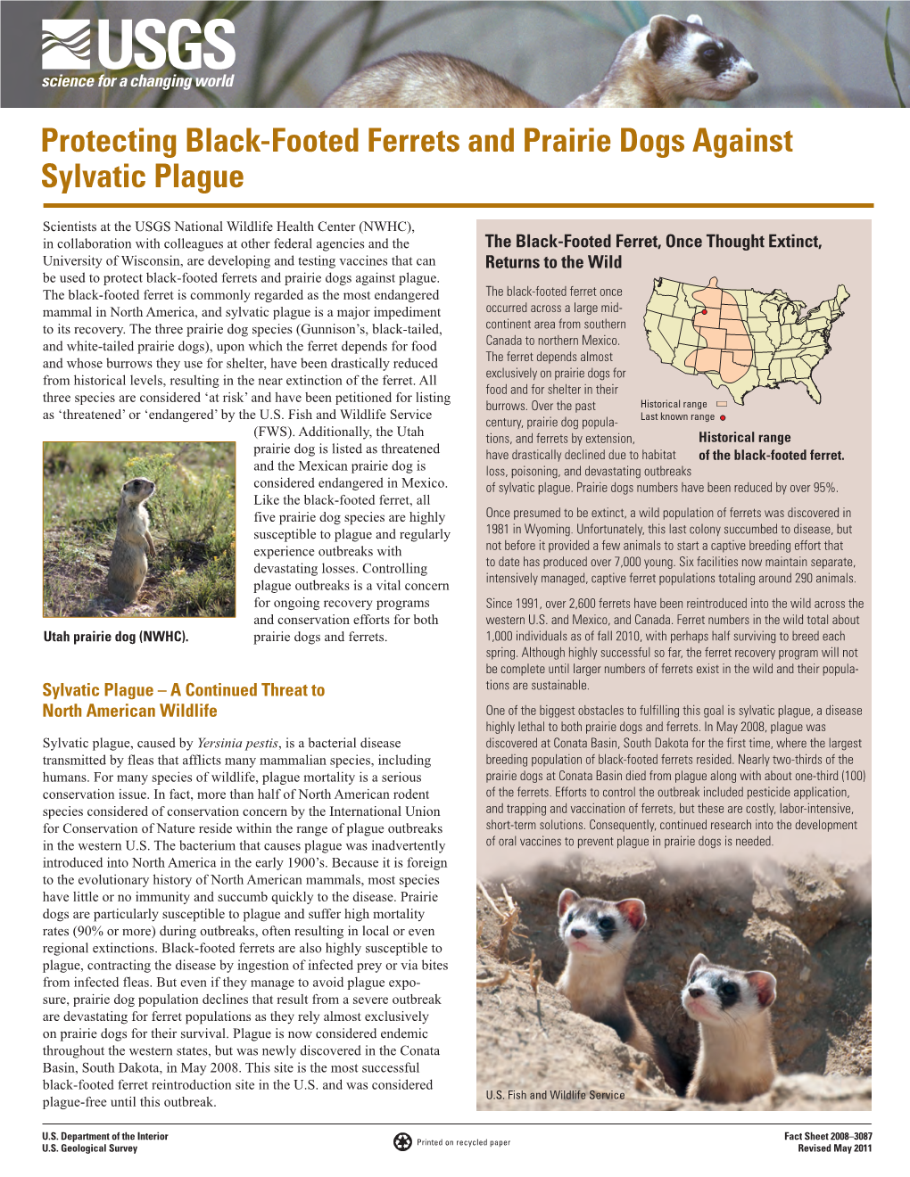 Protecting Black-Footed Ferrets and Prairie Dogs Against Sylvatic Plague