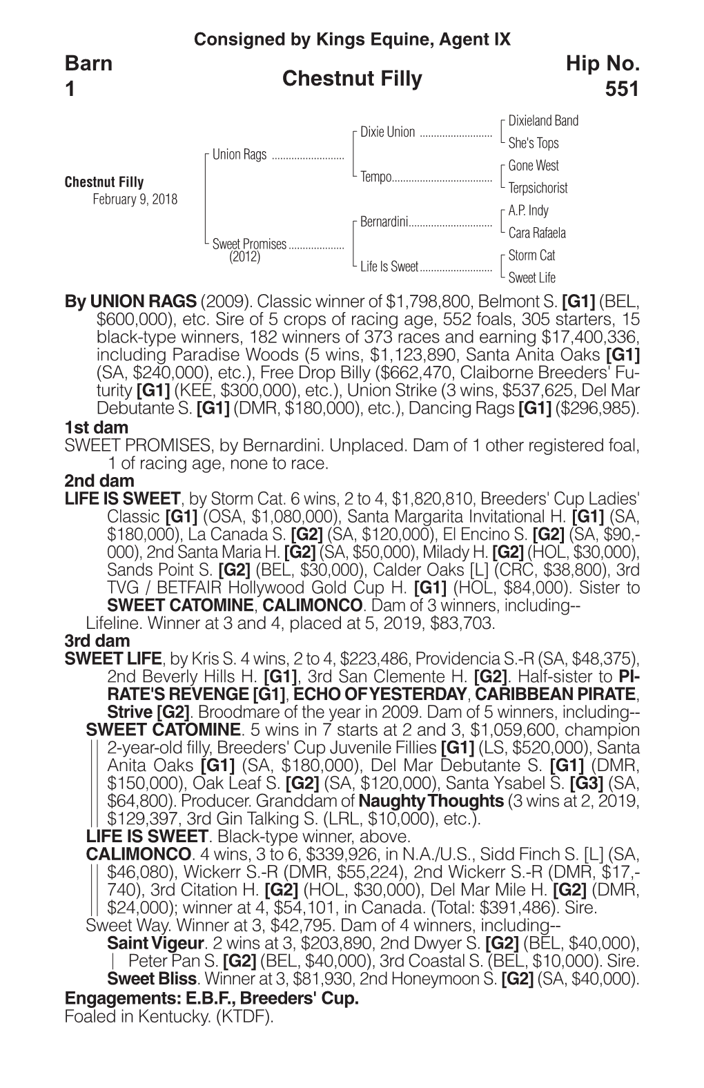 Chestnut Filly Barn 1 Hip No