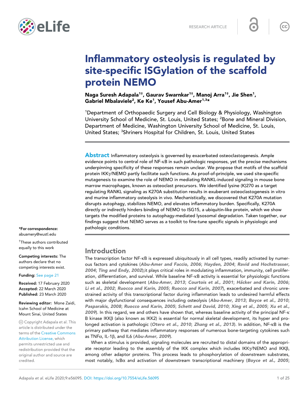 Inflammatory Osteolysis Is Regulated by Site-Specific Isgylation of The