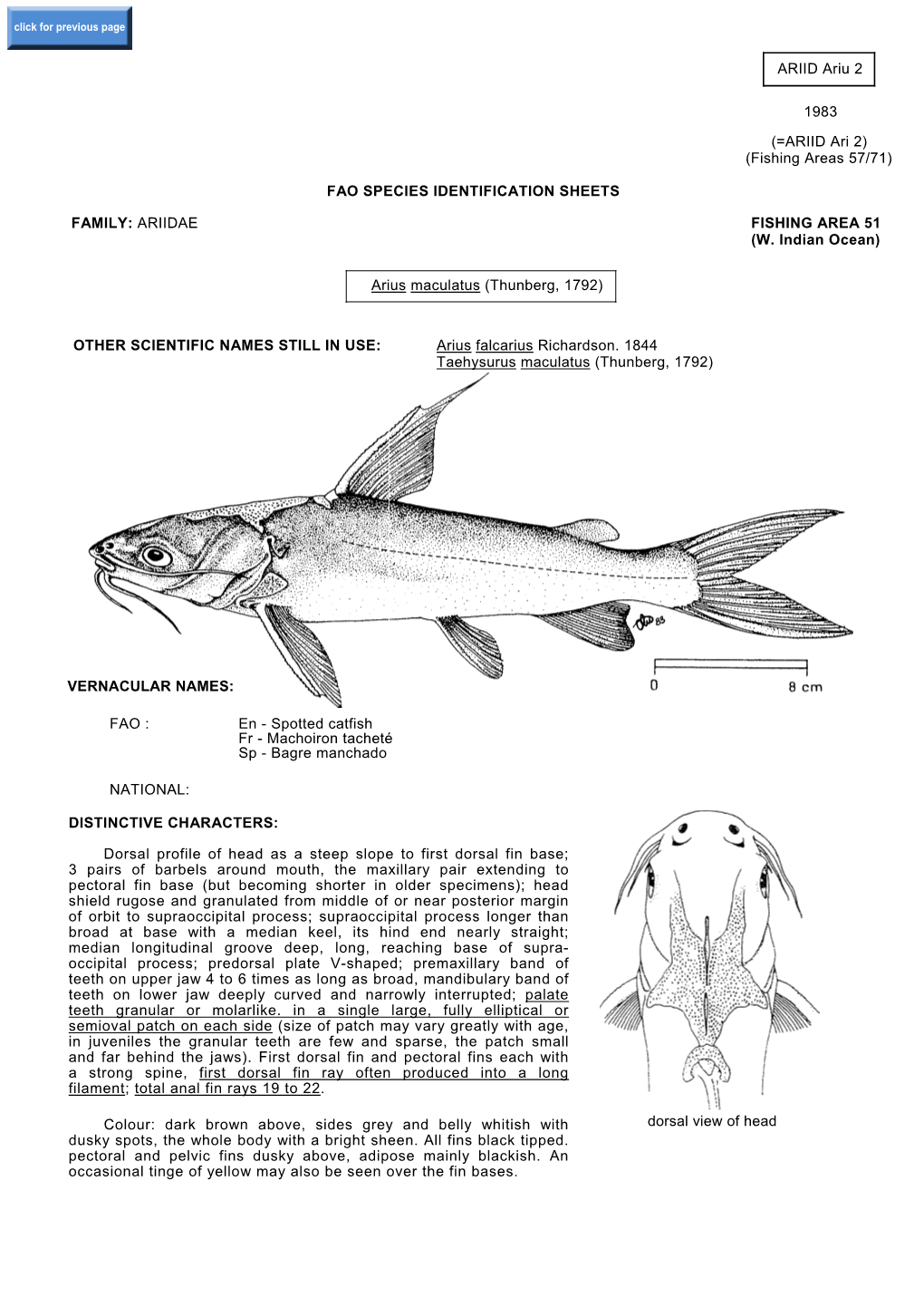 ARIID Ariu 2 1983 (=ARIID Ari 2) (Fishing Areas 57/71) FAO SPECIES IDENTIFICATION SHEETS FAMILY: ARIIDAE FISHING AREA 51 (W