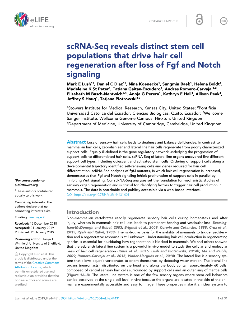 Scrna-Seq Reveals Distinct Stem Cell Populations That Drive Hair Cell Regeneration After Loss of Fgf and Notch Signaling