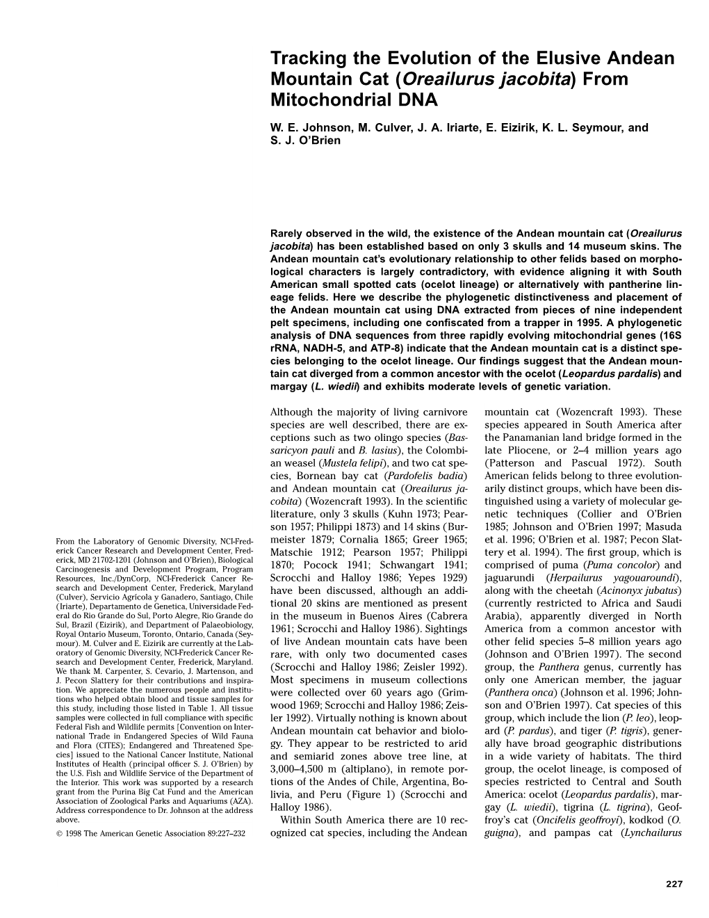 1998 Tracking the Evolution of the Elusive Andean Mountain Cat From