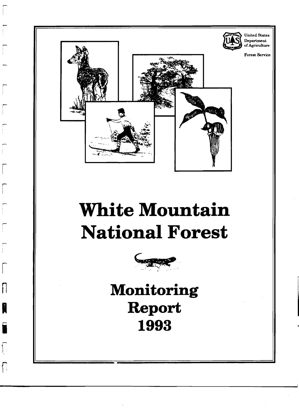 White Mountain National Forest