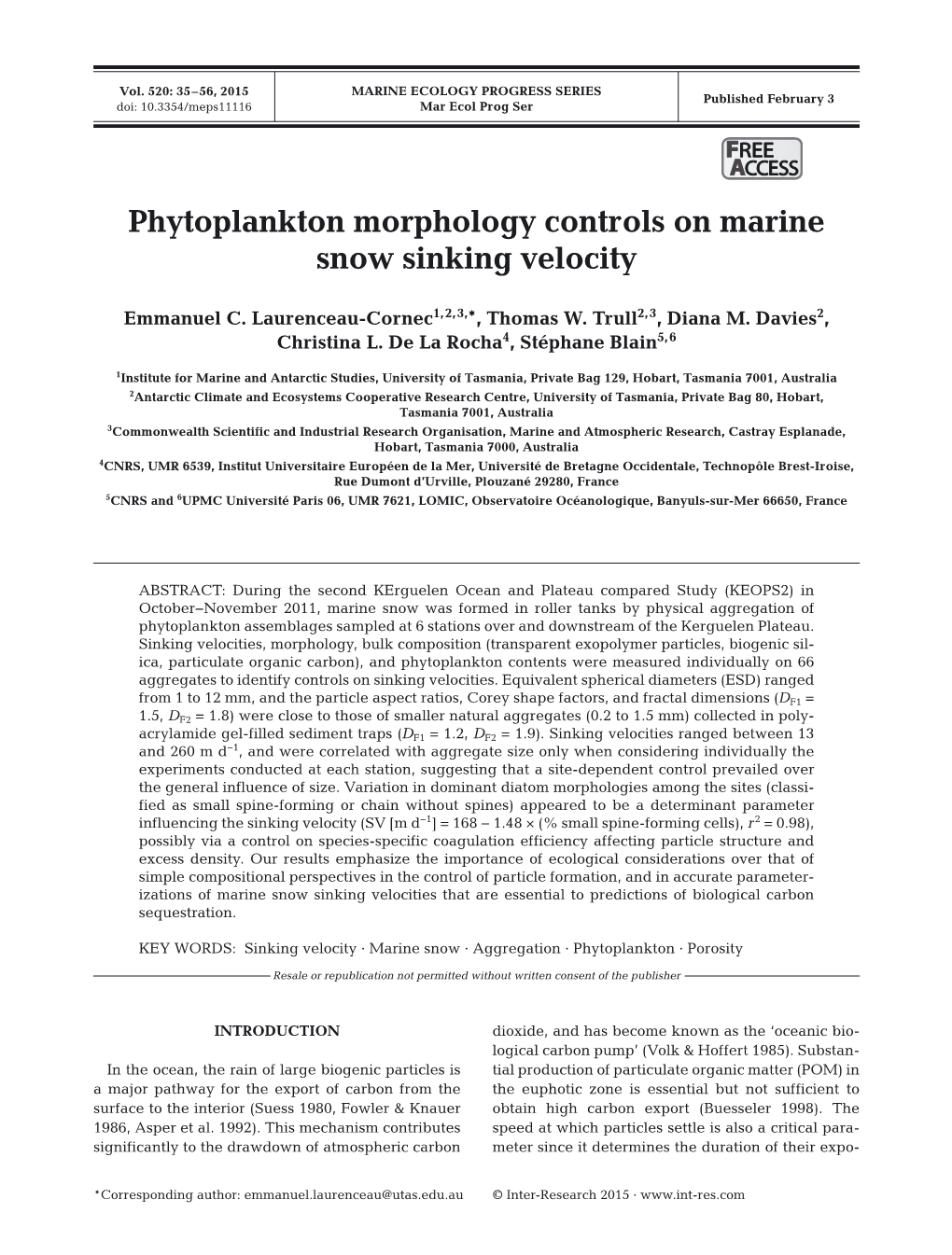 Phytoplankton Morphology Controls on Marine Snow Sinking Velocity