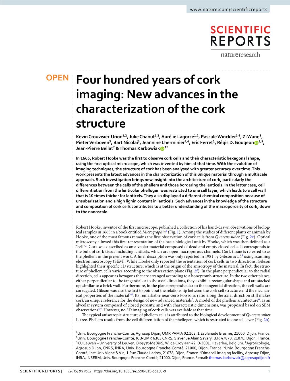 New Advances in the Characterization of the Cork Structure