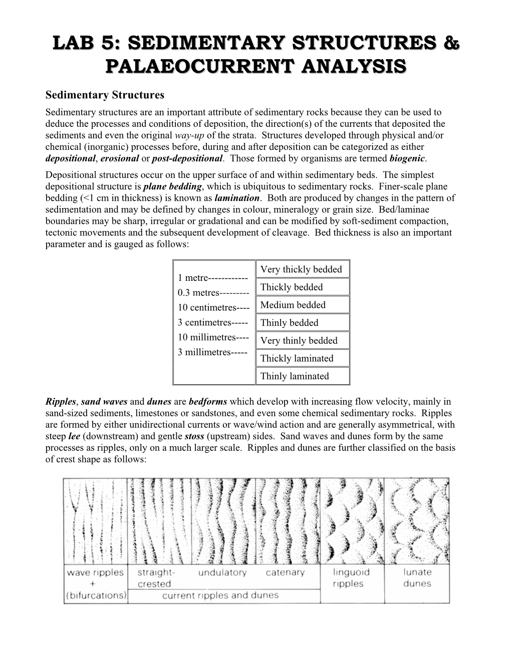 Sedimentary Structures & Palaeocurrent Analysis