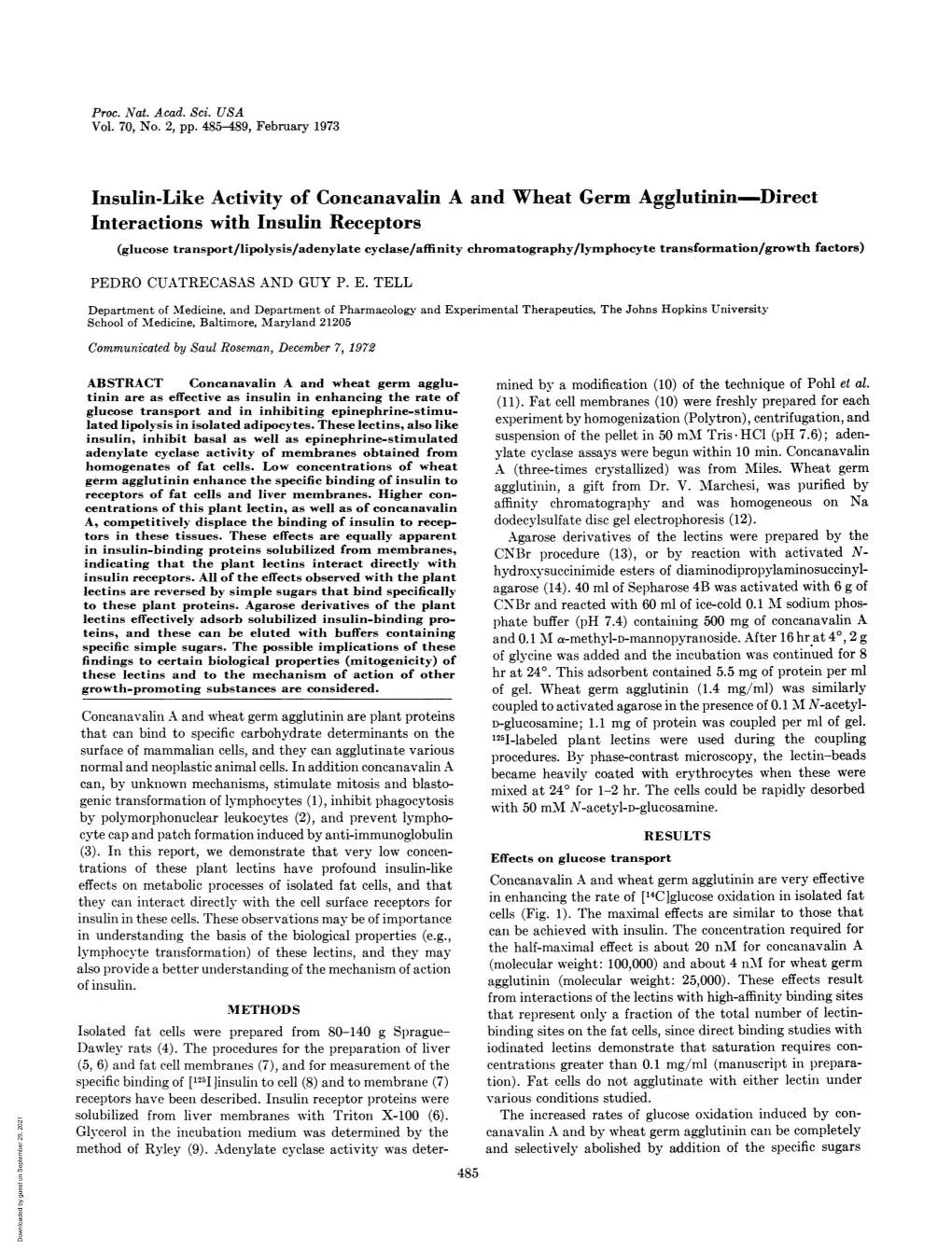 Insulin-Like Activity of Concanavalin a and Wheat Germ Agglutinin-Direct