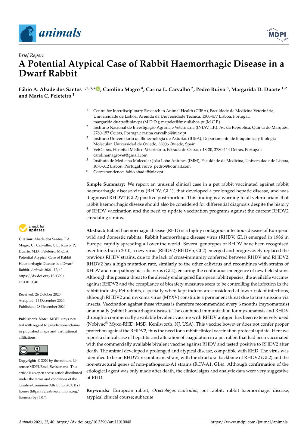 A Potential Atypical Case of Rabbit Haemorrhagic Disease in a Dwarf Rabbit