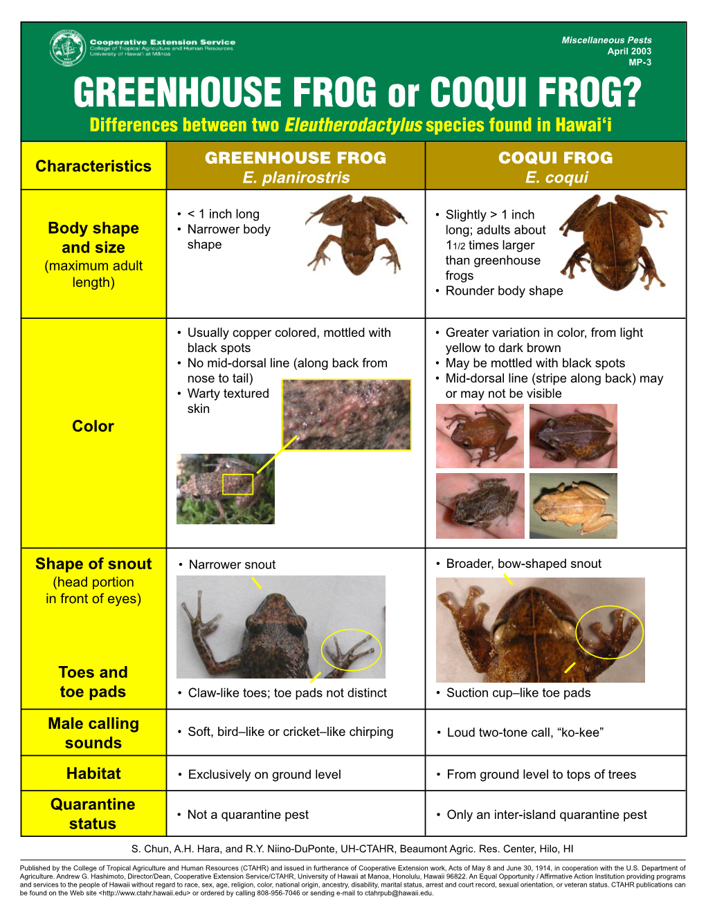 GREENHOUSE FROG Or COQUI FROG? Differences Between Two Eleutherodactylus Species Found in Hawai‘I GREENHOUSE FROG COQUI FROG Characteristics E