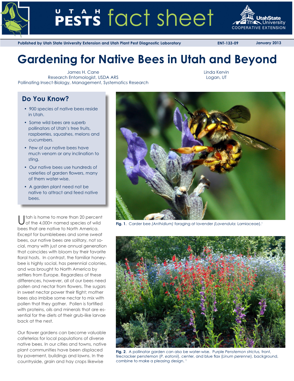 Gardening for Native Bees in Utah and Beyond James H