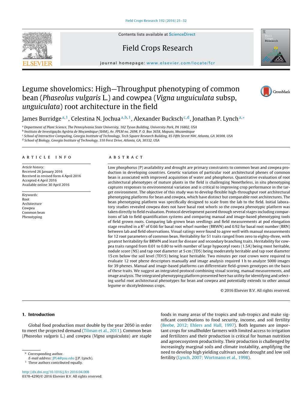 Legume Shovelomics: High—Throughput Phenotyping of Common Bean