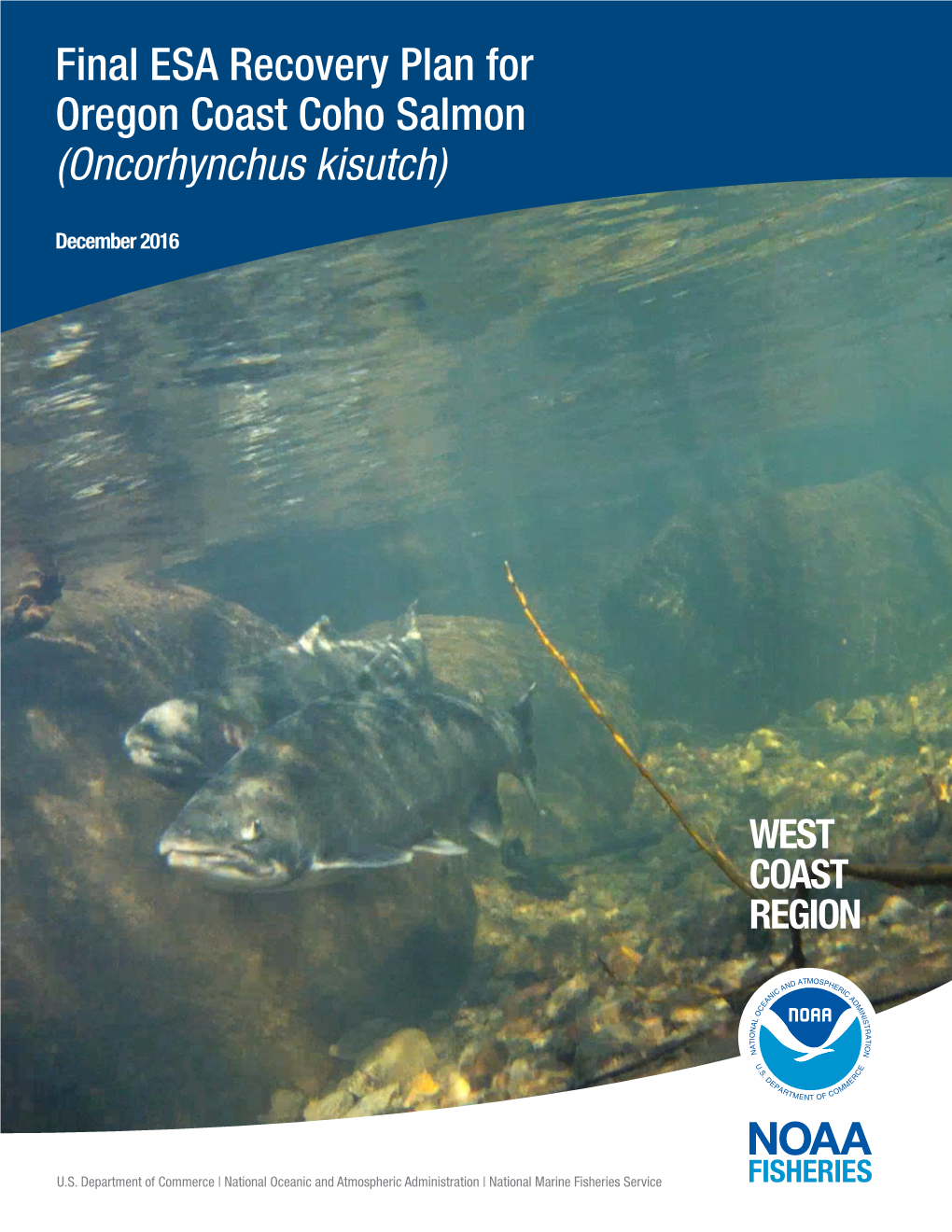 Final ESA Recovery Plan for Oregon Coast Coho Salmon (Oncorhynchus Kisutch)