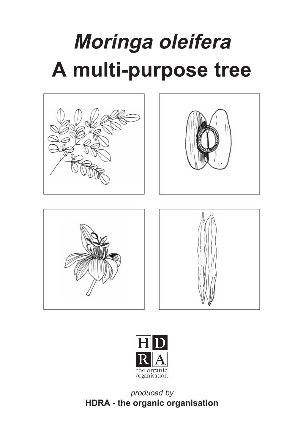 Moringa Oleifera: a Multi-Purpose Tree