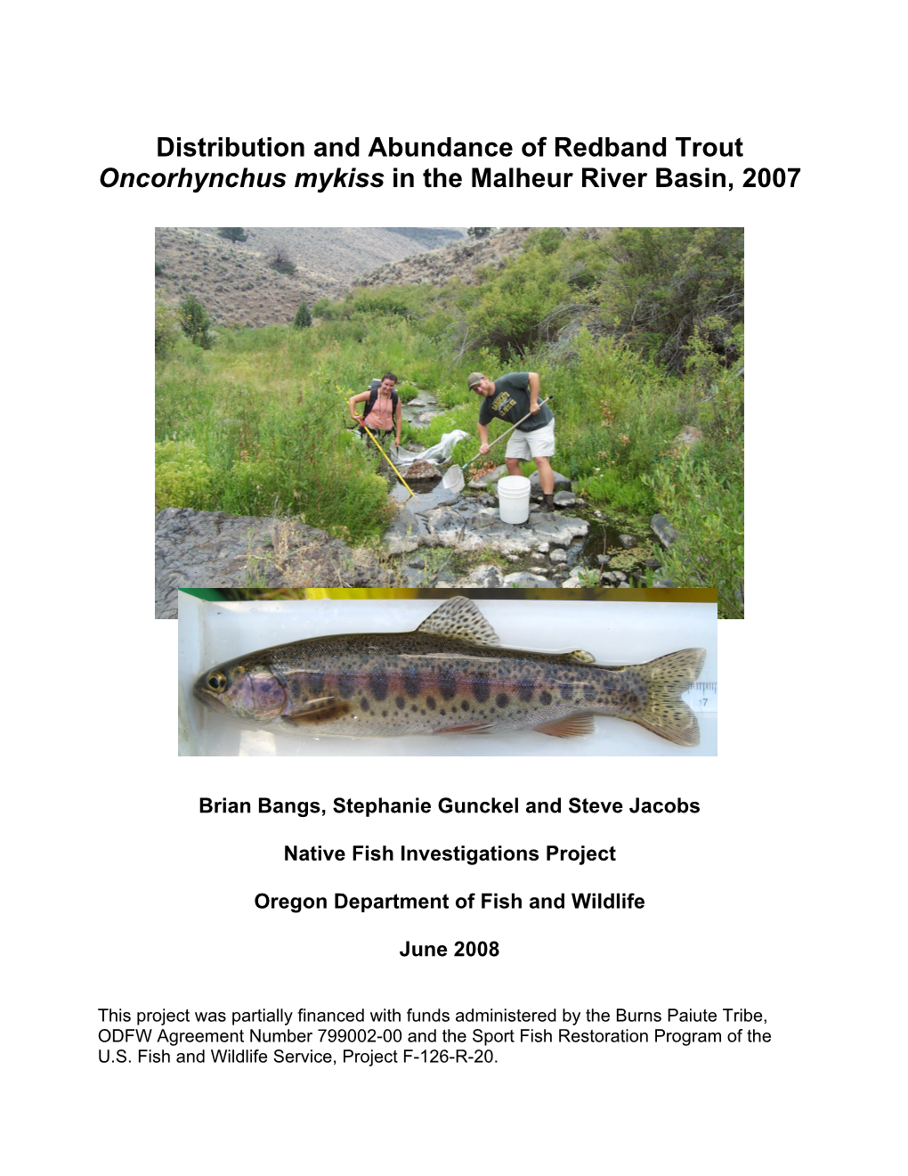 Distribution and Abundance of Redband Trout Oncorhynchus Mykiss in the Malheur River Basin, 2007