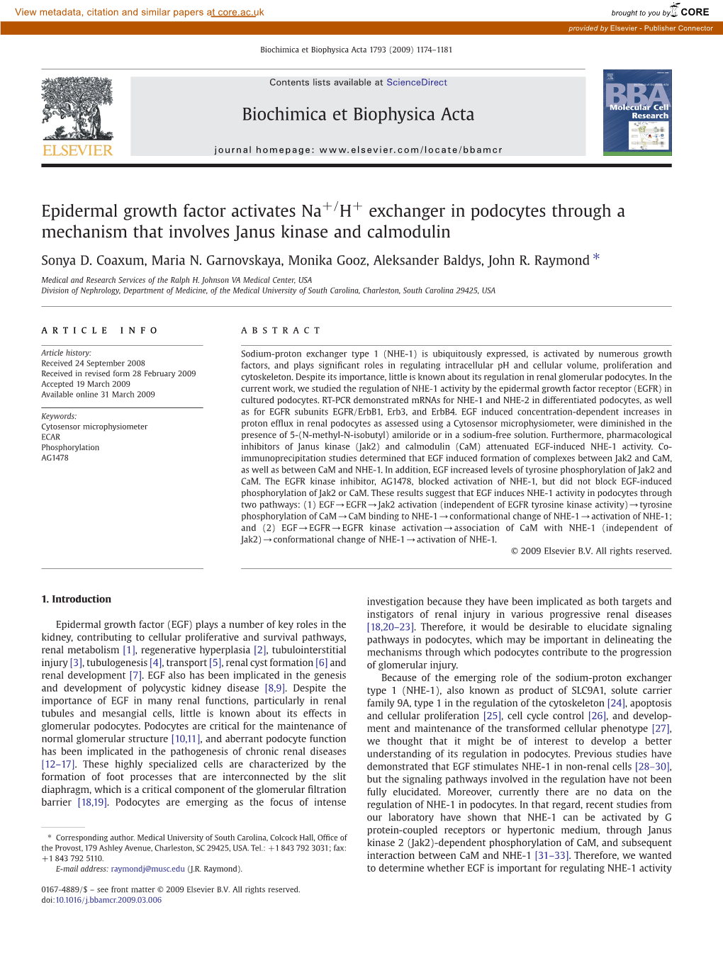 Epidermal Growth Factor Activates Na+/H+ Exchanger in Podocytes Through a Mechanism That Involves Janus Kinase and Calmodulin