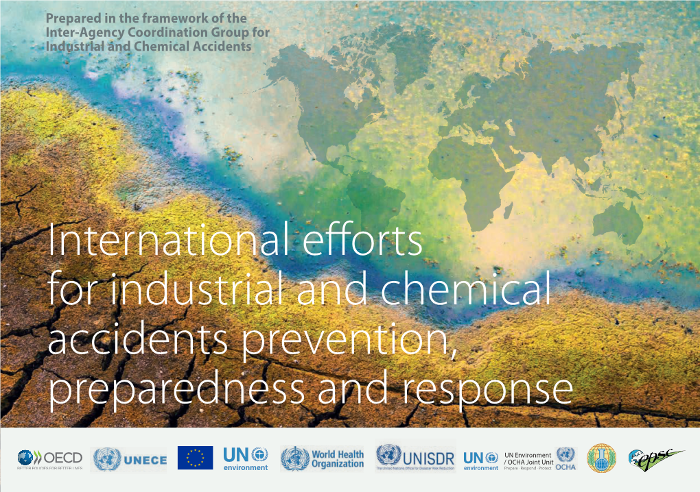 International Efforts for Industrial and Chemical Accidents Prevention, Preparedness and Response