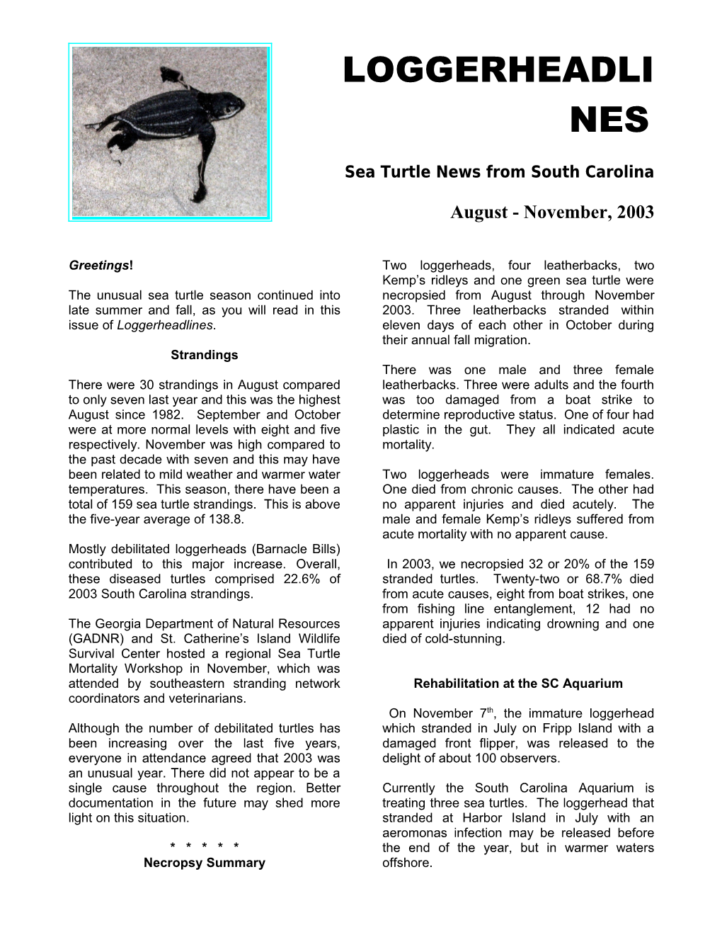 Sea Turtle News from South Carolina