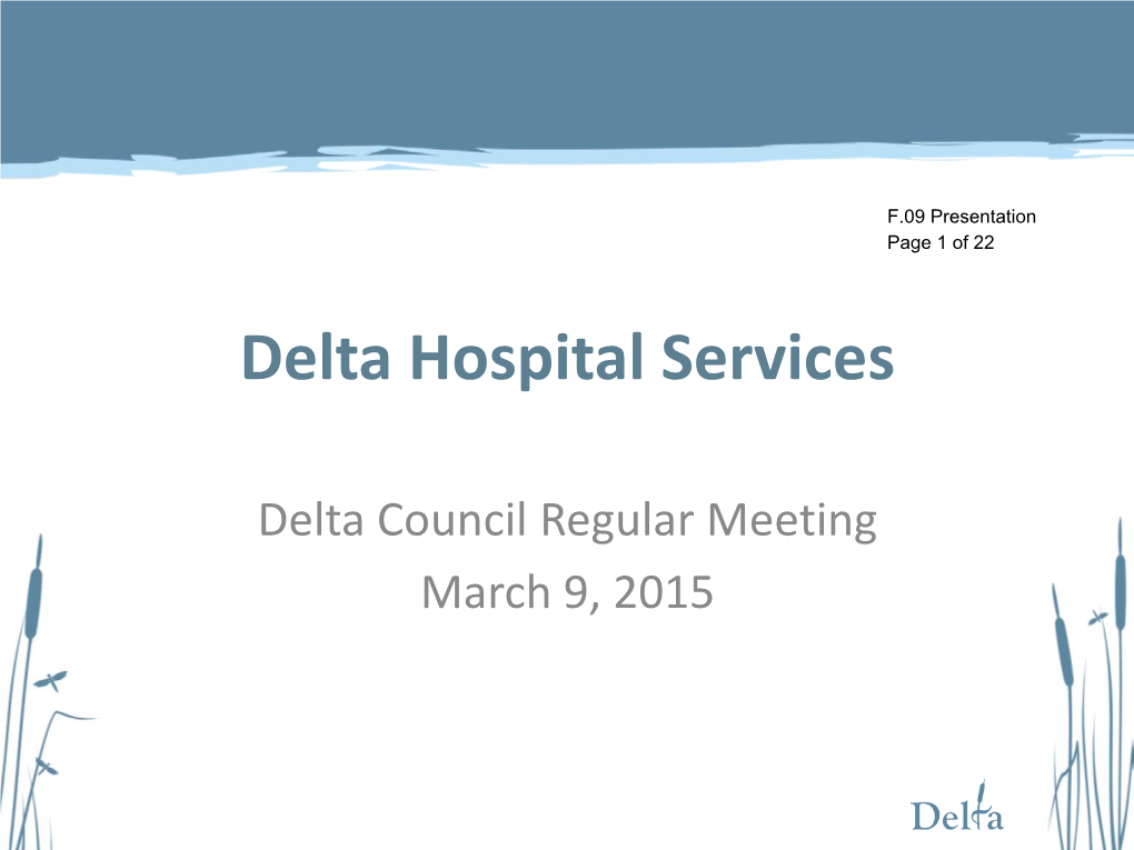 Delta Hospital Services
