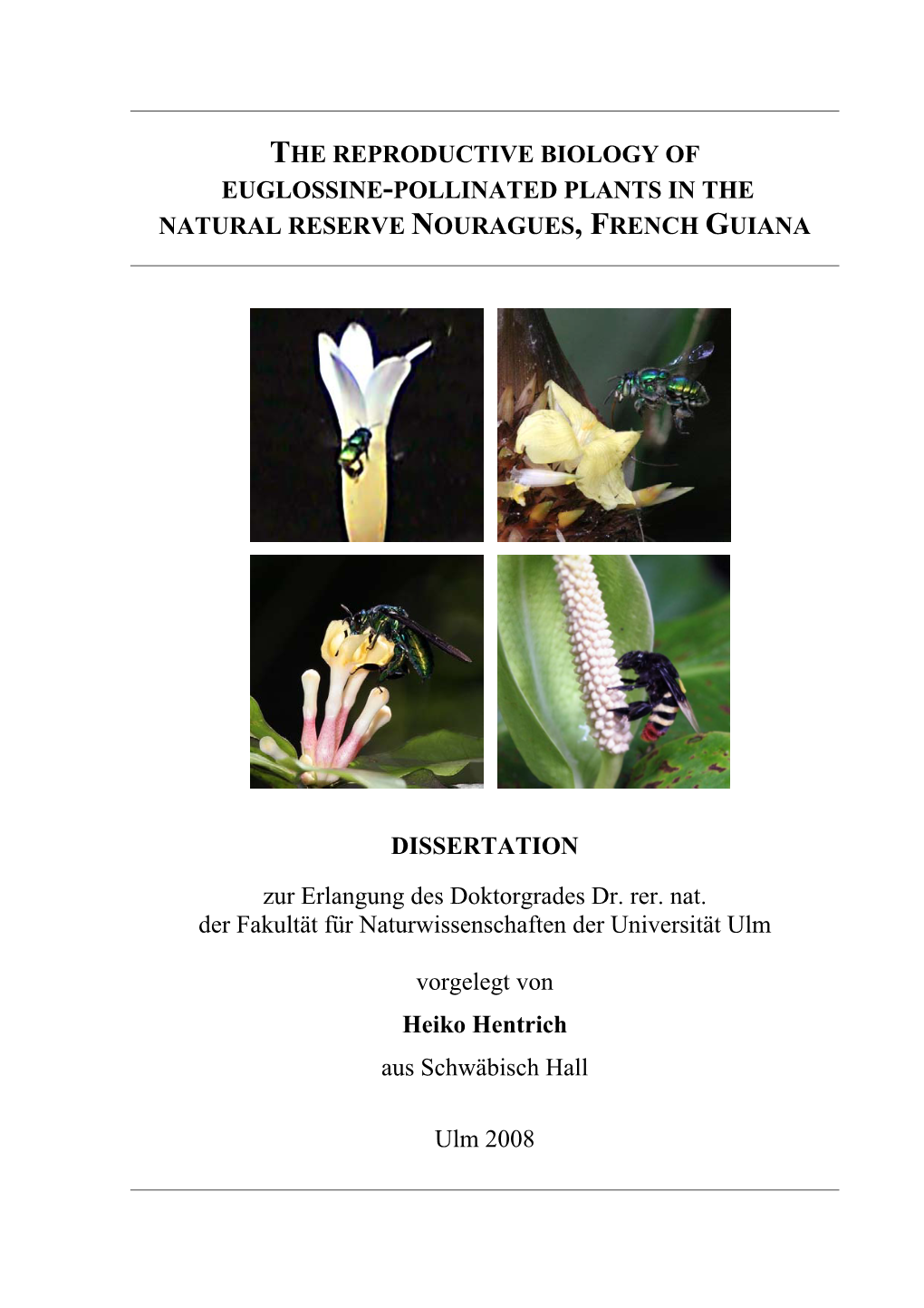 The Reproductive Biology of Euglossine-Pollinated Plants in the Natural Reserve Nouragues, French Guiana