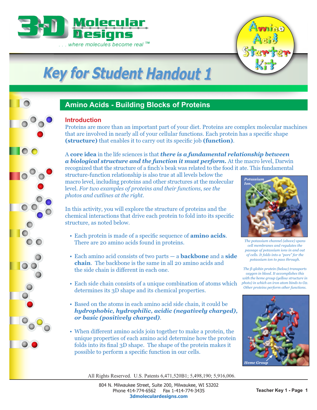 Amino Acids - Building Blocks of Proteins