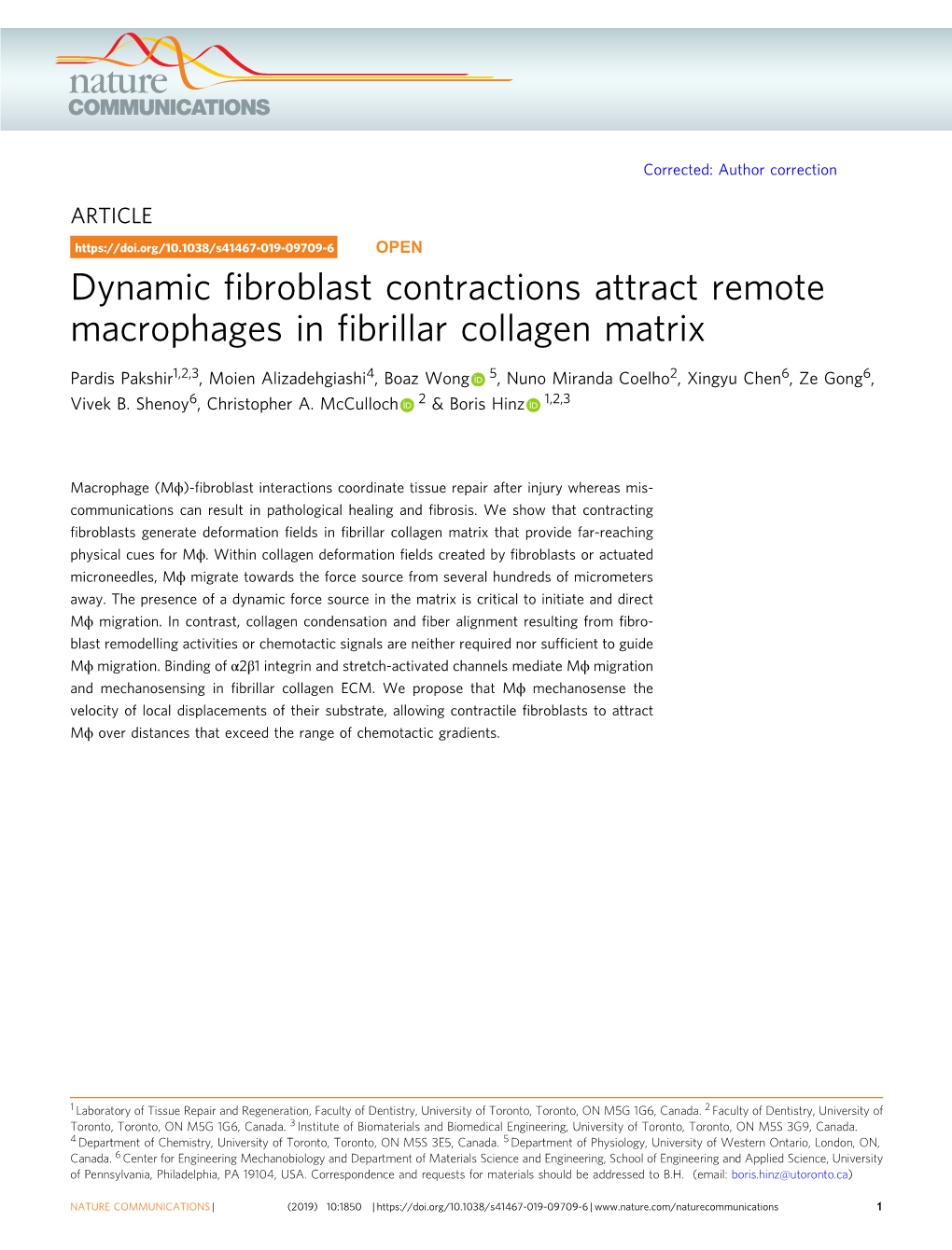 Dynamic Fibroblast Contractions Attract Remote Macrophages in Fibrillar