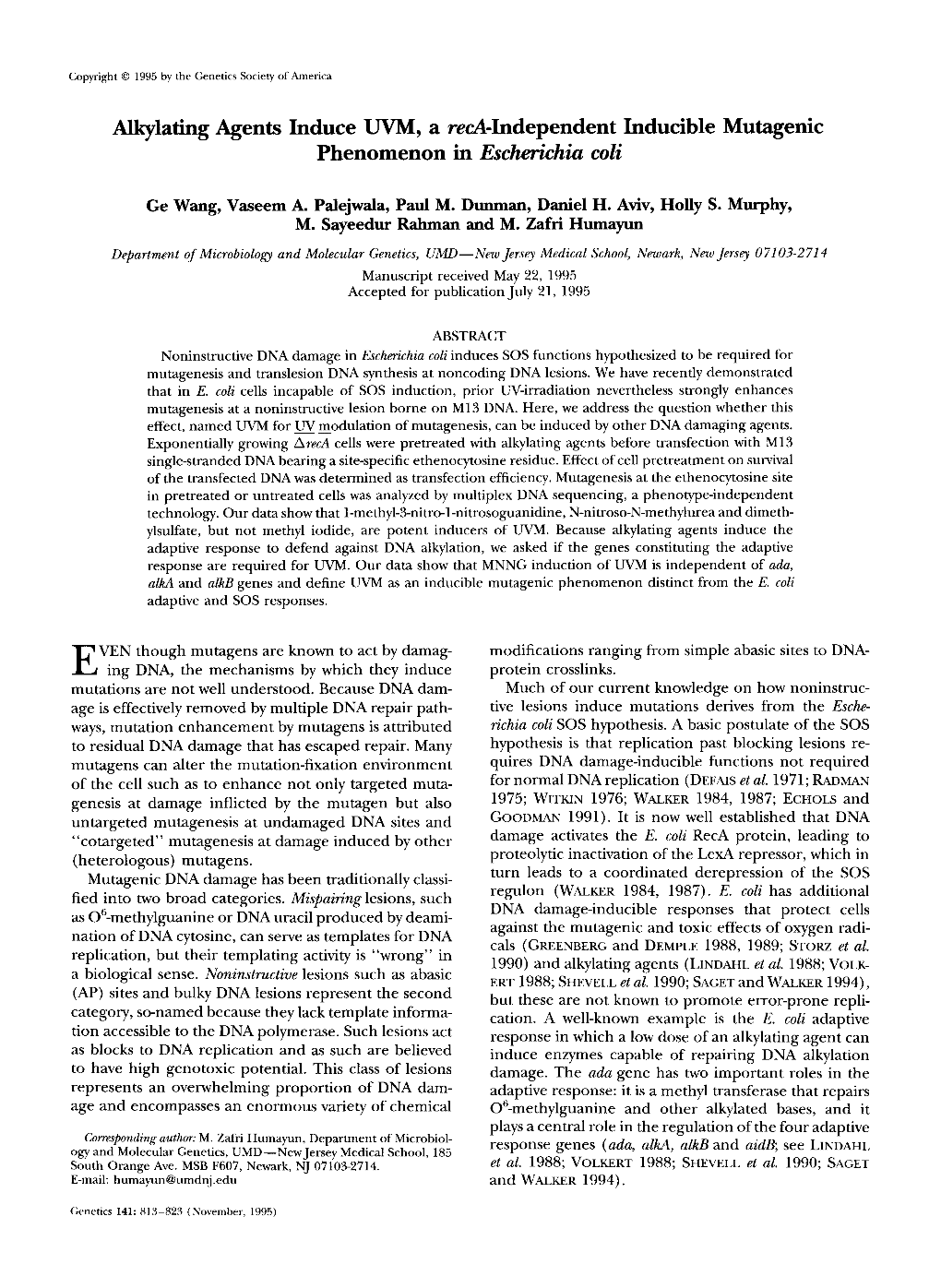 Alkylating Agents Induce UVM, a Red-Independent Inducible Mutagenic Phenomenon in Escherichia Coli