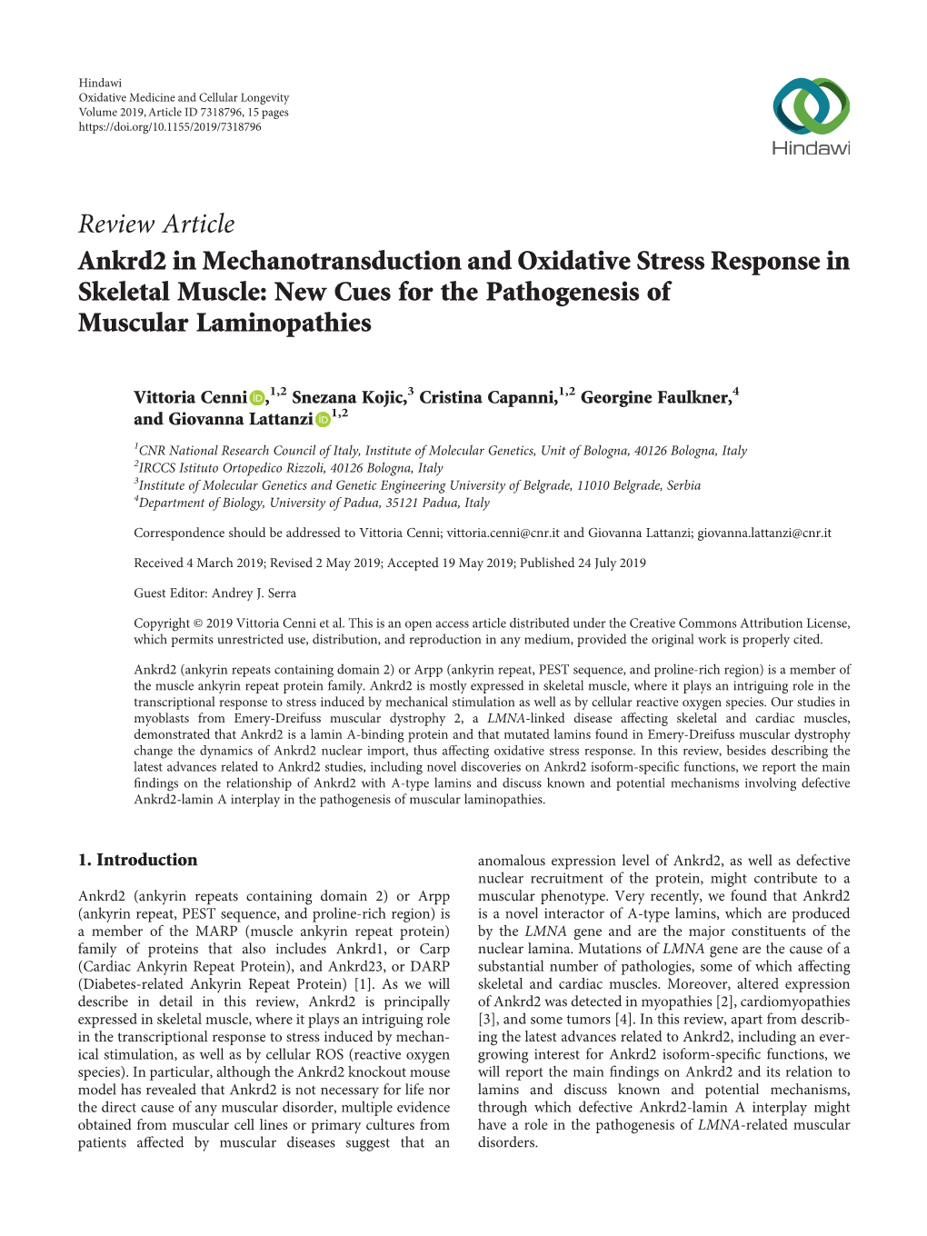 Ankrd2 in Mechanotransduction and Oxidative Stress Response in Skeletal Muscle: New Cues for the Pathogenesis of Muscular Laminopathies