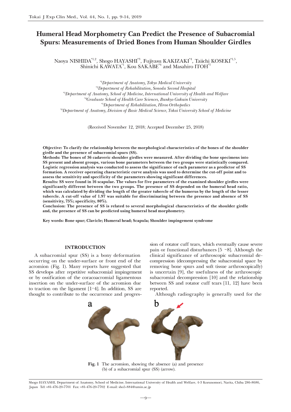 Humeral Head Morphometry Can Predict the Presence of Subacromial Spurs: Measurements of Dried Bones from Human Shoulder Girdles