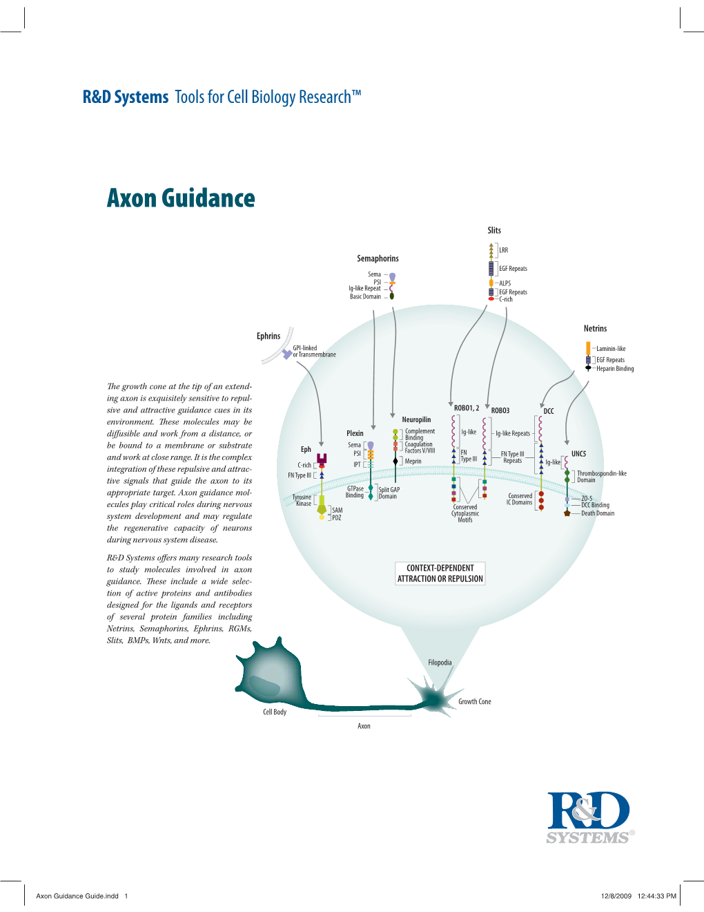 Axon Guidance Guide.Indd