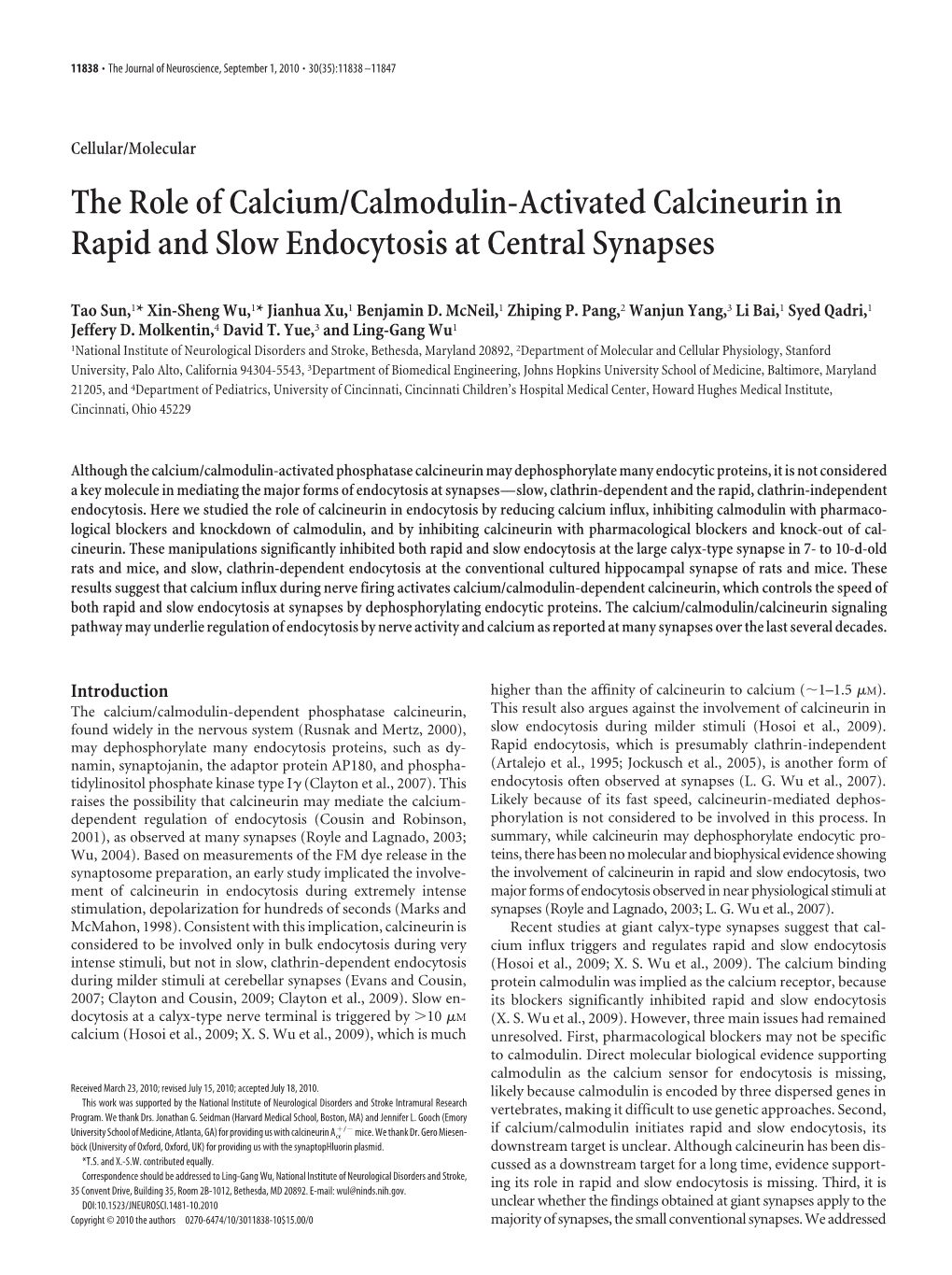 The Role of Calcium/Calmodulin-Activated Calcineurin in Rapid and Slow Endocytosis at Central Synapses