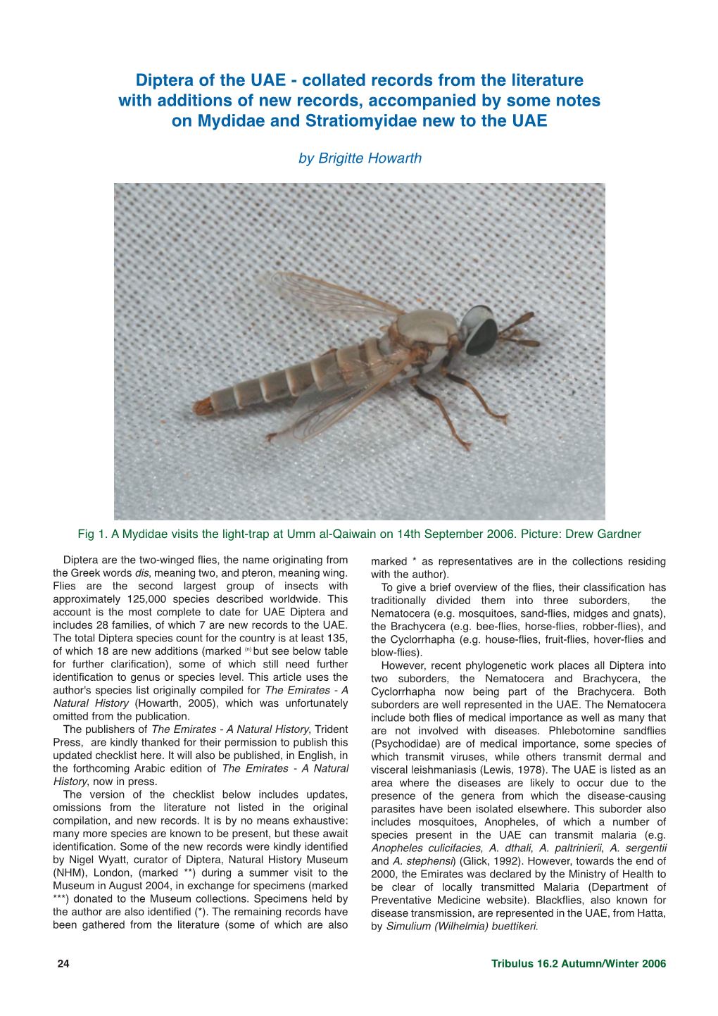 Diptera of the UAE - Collated Records from the Literature with Additions of New Records, Accompanied by Some Notes on Mydidae and Stratiomyidae New to the UAE