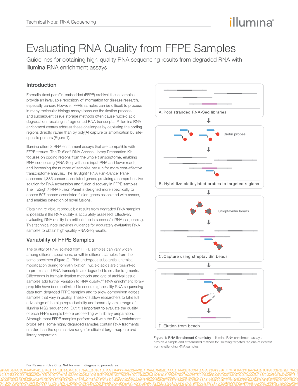 Evaluating RNA Quality from FFPE Samples Guidelines for Obtaining High-Quality RNA Sequencing Results from Degraded RNA with Illumina RNA Enrichment Assays