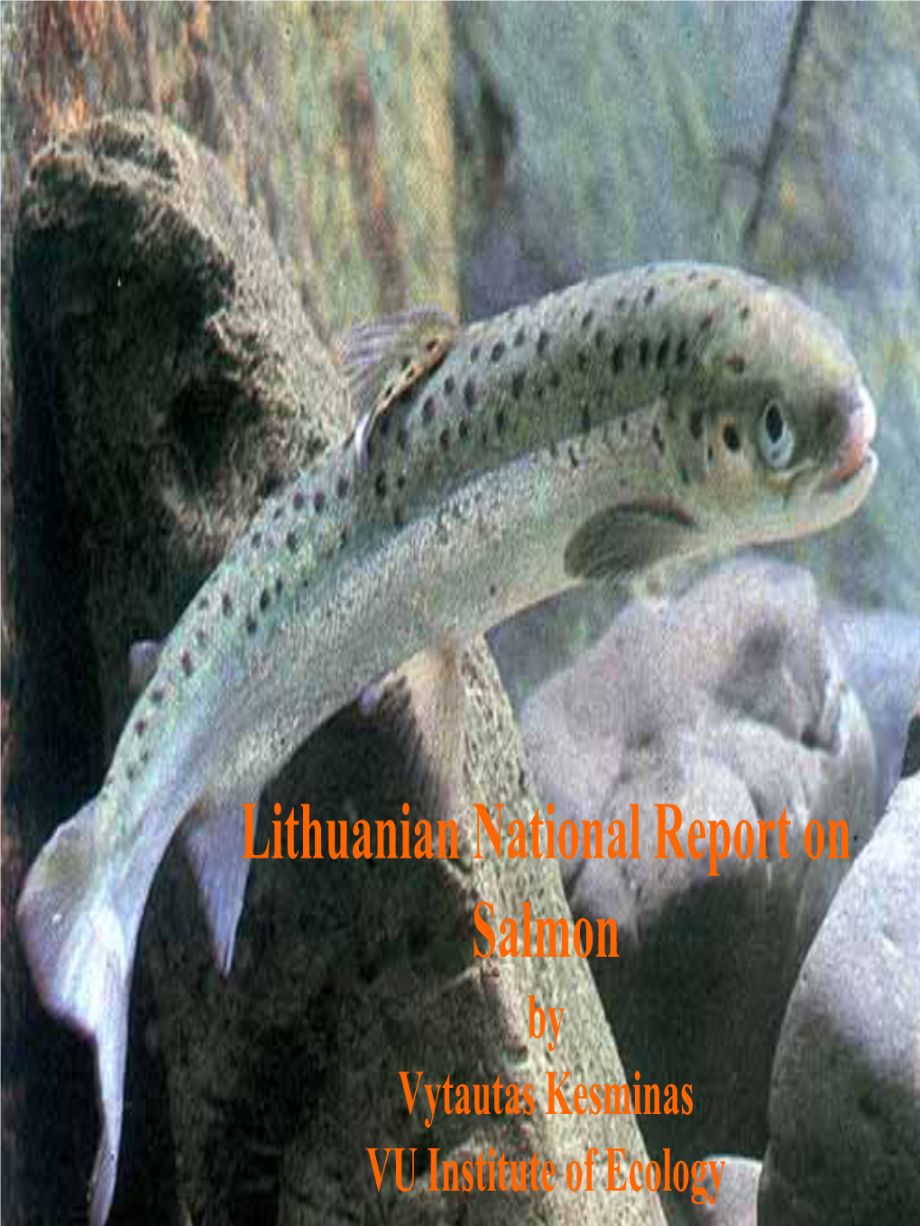 Lithuanian National Report on Salmon by Vytautas Kesminas VU Institute of Ecology INTRODUCTION