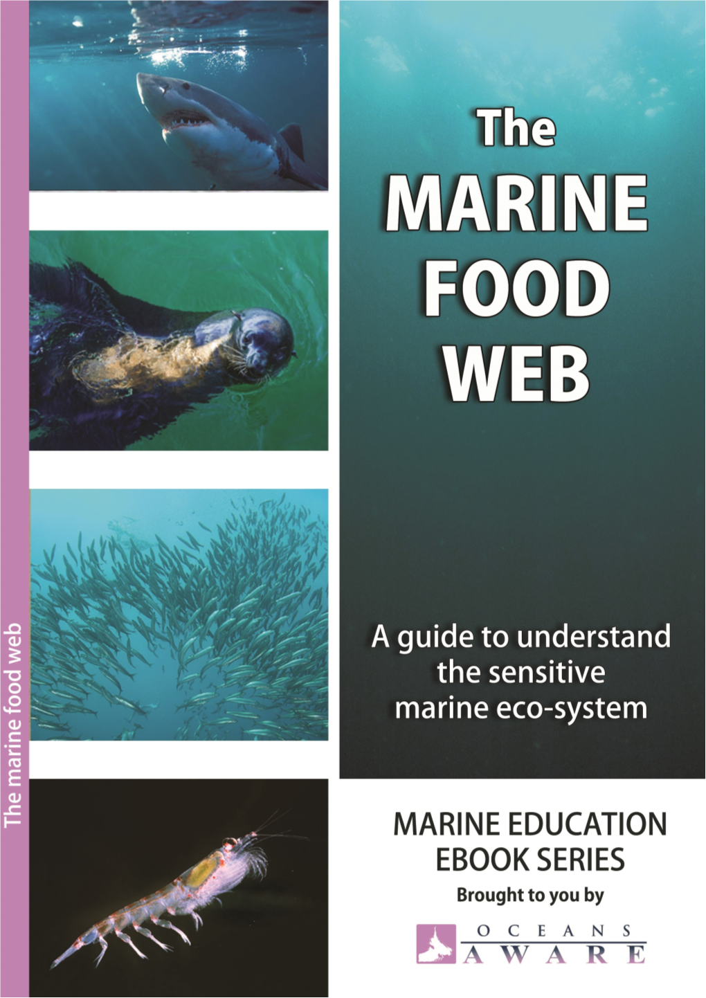 Marine Food Web.Pdf