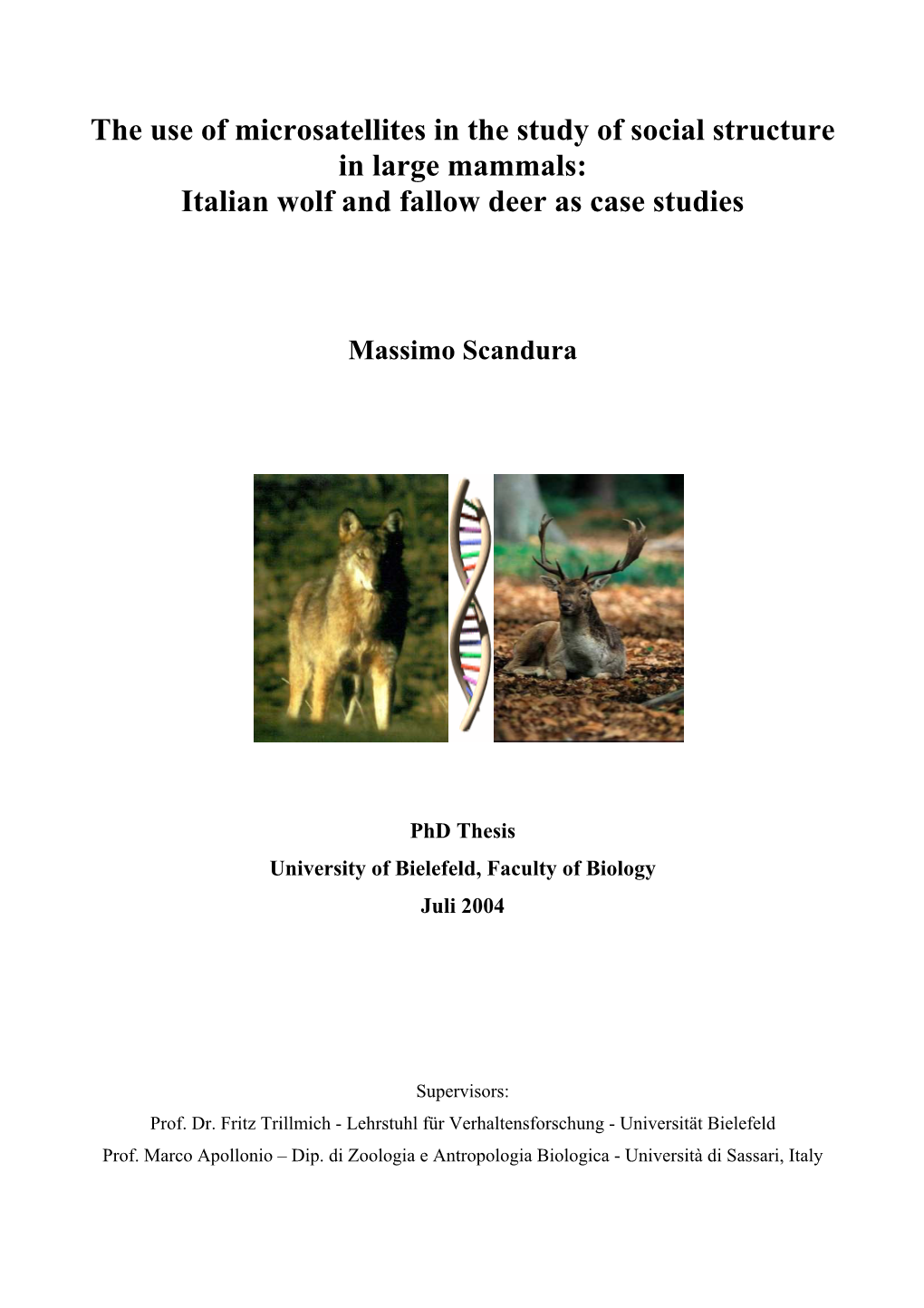 The Use of Microsatellites in the Study of Social Structure in Large Mammals: Italian Wolf and Fallow Deer As Case Studies