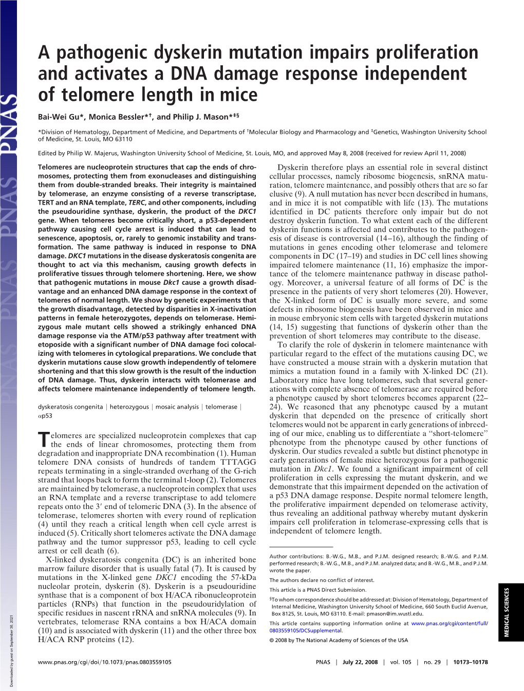 A Pathogenic Dyskerin Mutation Impairs Proliferation and Activates a DNA Damage Response Independent of Telomere Length in Mice