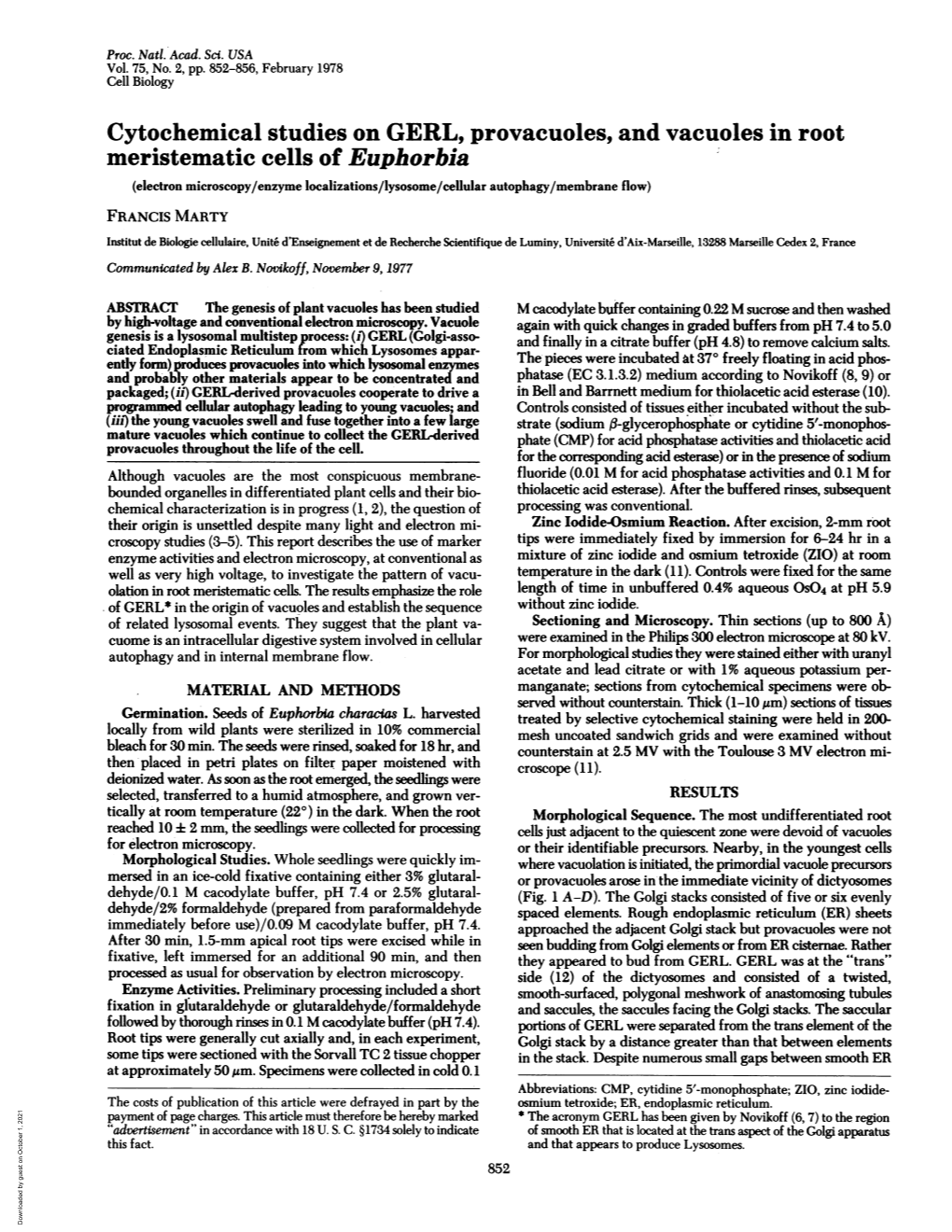 Cytochemical Studies on GERL, Provacuoles, and Vacuoles in Root