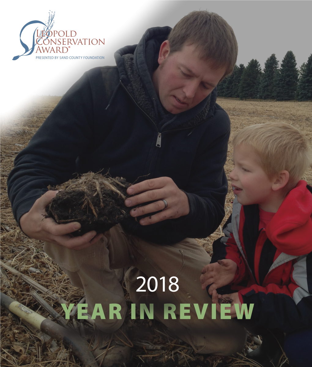 2018 Year in Review