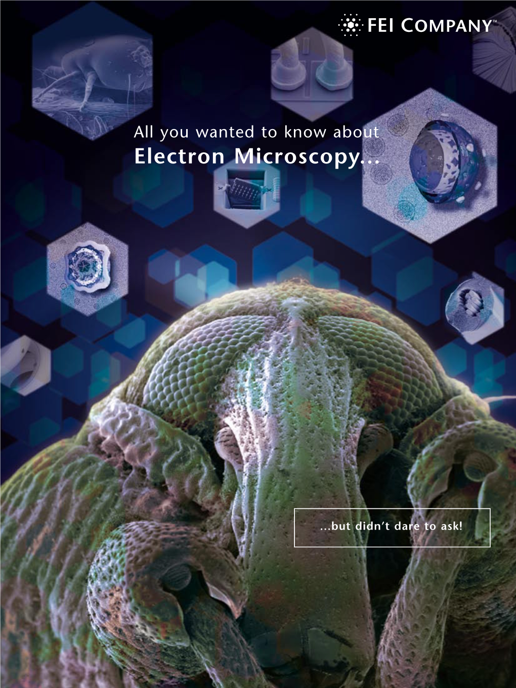 All You Wanted to Know About Electron Microscopy