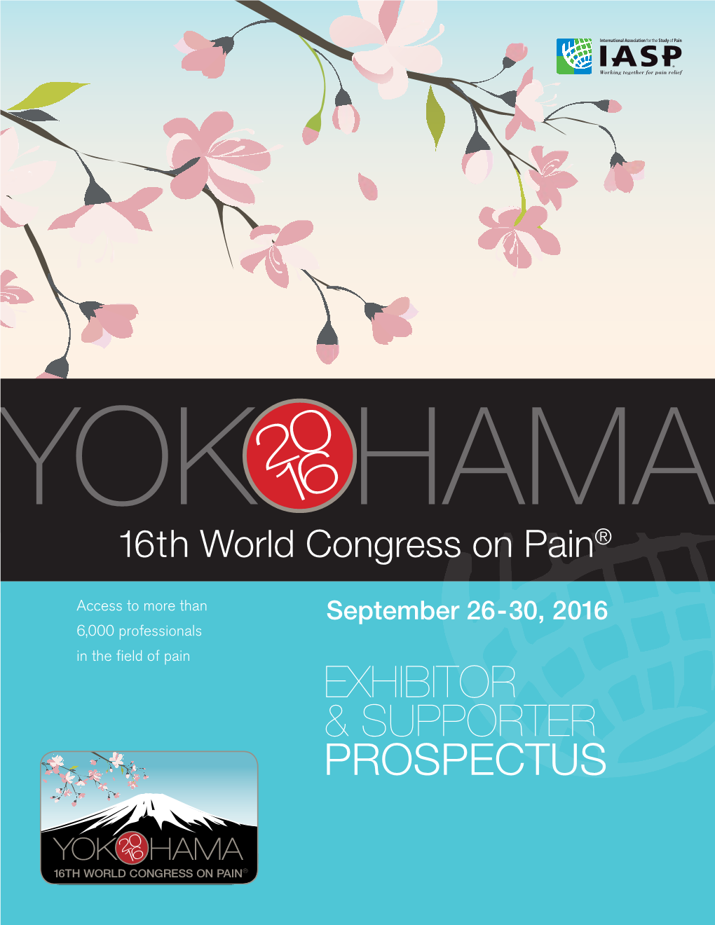 16Th World Congress on Pain®