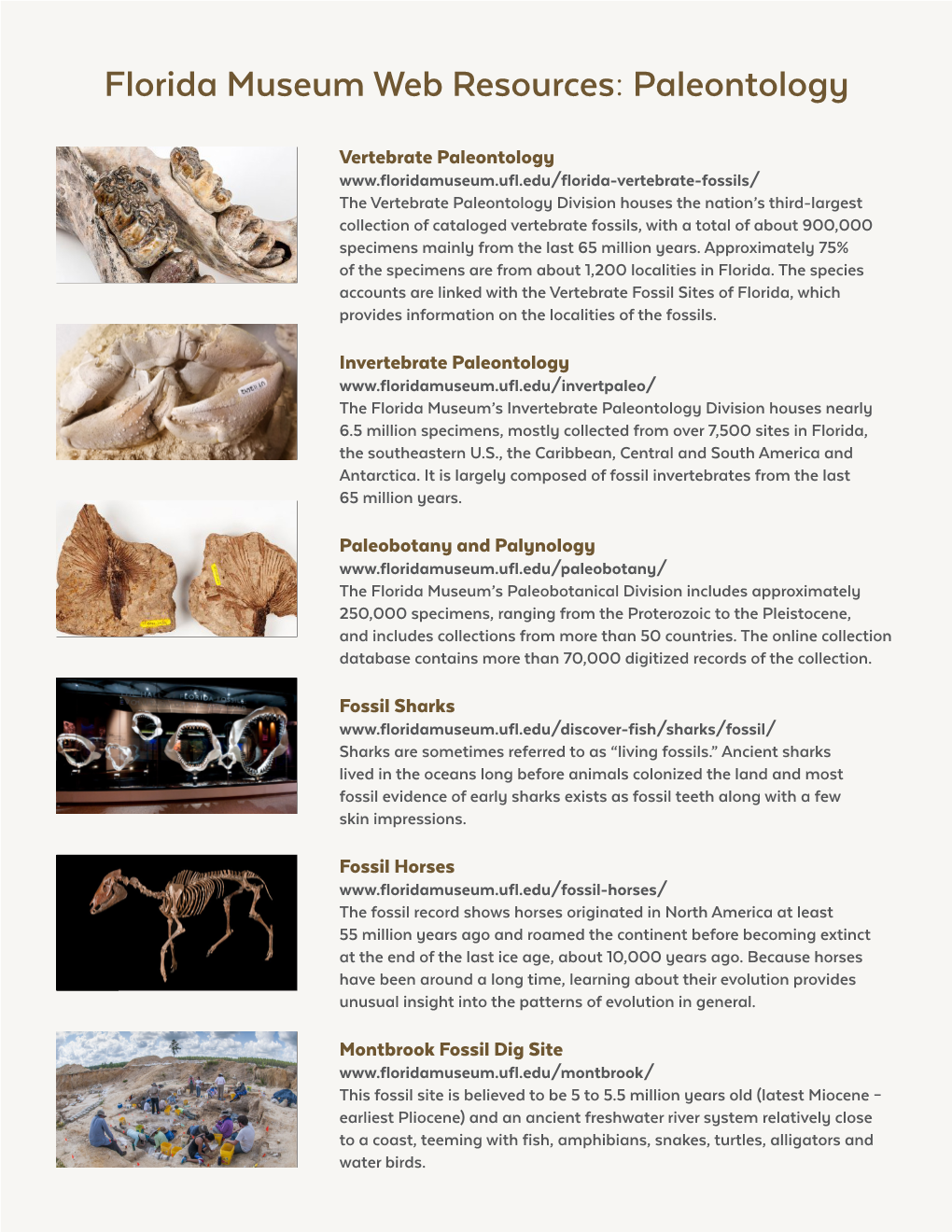 Florida Museum Web Resources: Paleontology