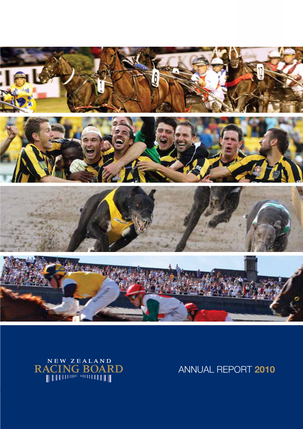 Annual Report 2010