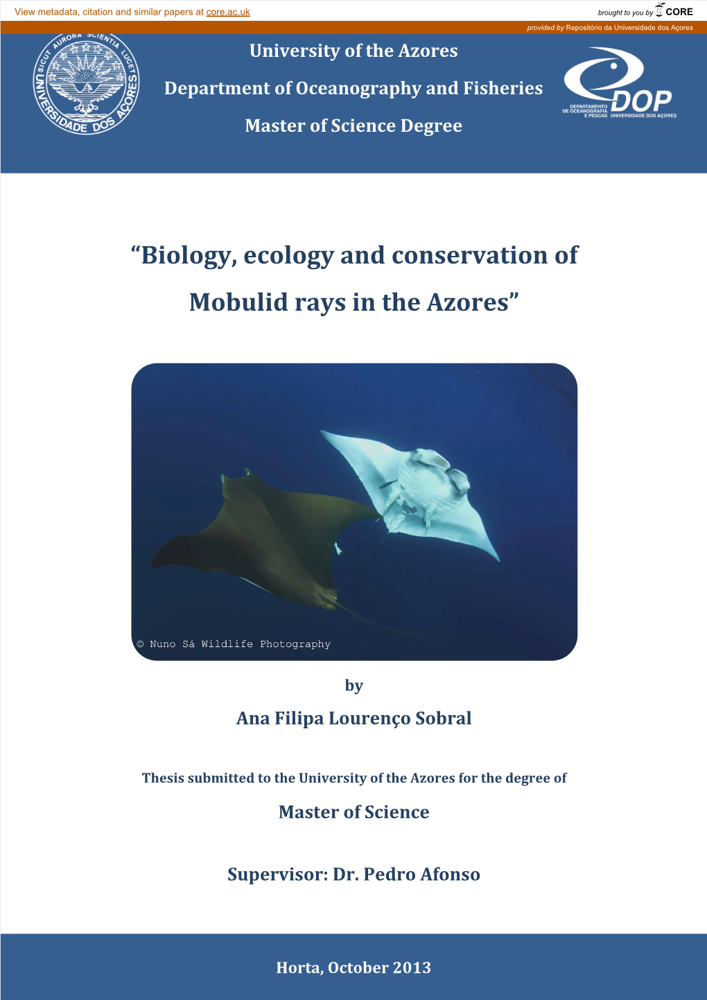 Biology, Ecology and Conservation of Mobulid Rays in the Azores”