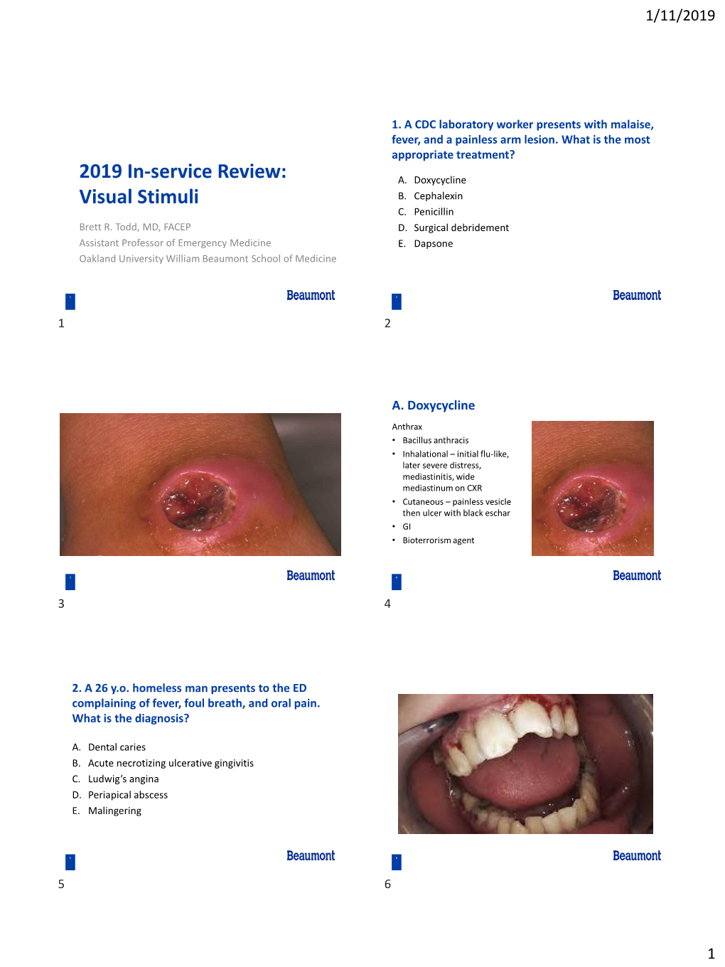 2019 In-Service Review: Visual Stimuli